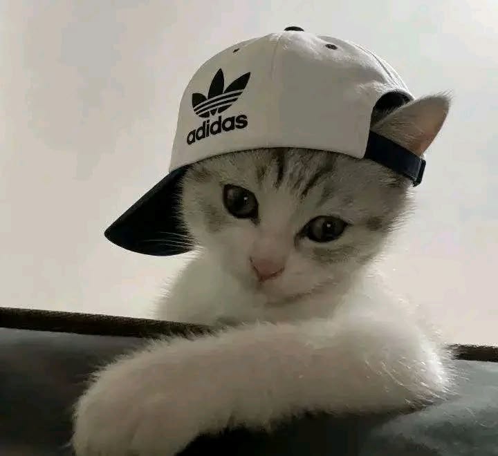Ad0n1c